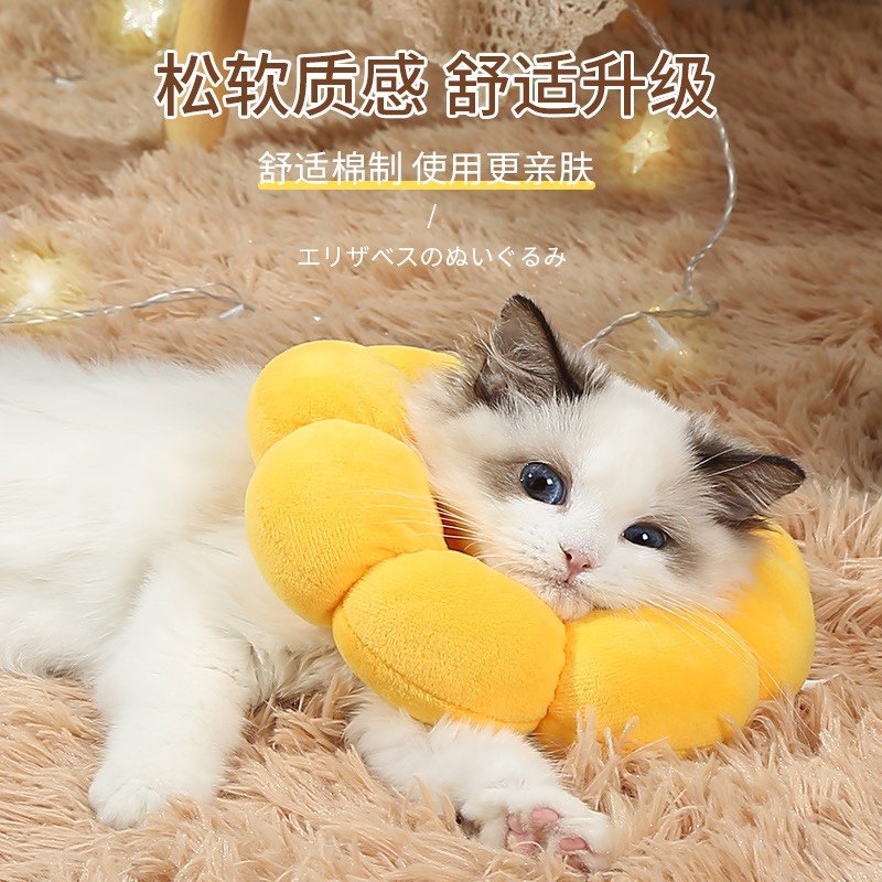宠物猫咪伊丽莎白鼠头套可爱脖子保护套防舔保暖轻软圈绝育可吃饭,淘宝优惠券,粉丝福利购,淘宝优惠卷