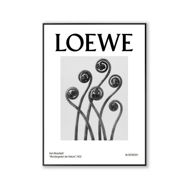 LOEWE2ins装饰画北欧客厅画餐厅服装店落地画玄关卧室小众挂画-图3