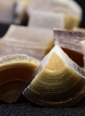 药材披毛犀泡酒冲水降压鱼子纹