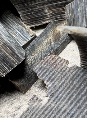 披毛犀鱼籽纹养生泡酒药材老Y角