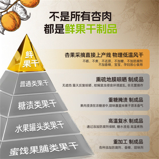 Little Me Xinjiang Academy of Agricultural Sciences Dried Apricots No Added Sugar