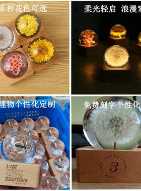 夜灯蒲公英标本水晶球小台灯触摸控制调光暖黄色树脂植物创意摆件
