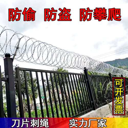 刀片刺绳防盗围栏围墙防爬防盗刺网带刺铁丝防盗刺滚笼不锈钢刀刺 - 图2