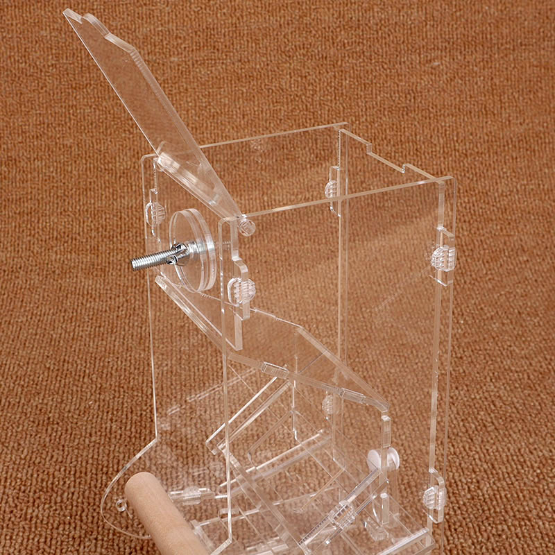 亚克力鹦鹉鸟粮自动喂食器防撒防溅鸟食盒虎皮透明下料器鸟笼用具 - 图3