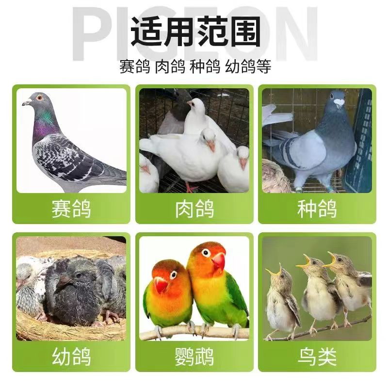 一陆高歌鸽虫清鸽用驱虫鸟用肉鸽饮水拌料养殖抖音视频号同款正品 - 图3