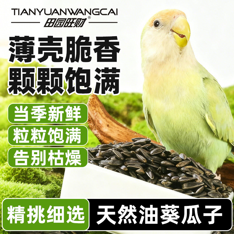 天然油葵瓜子鸟零食精挑细选无添加宠物营养丰富品质颗粒饱满磨嘴,淘宝优惠券,粉丝福利购,淘宝优惠卷