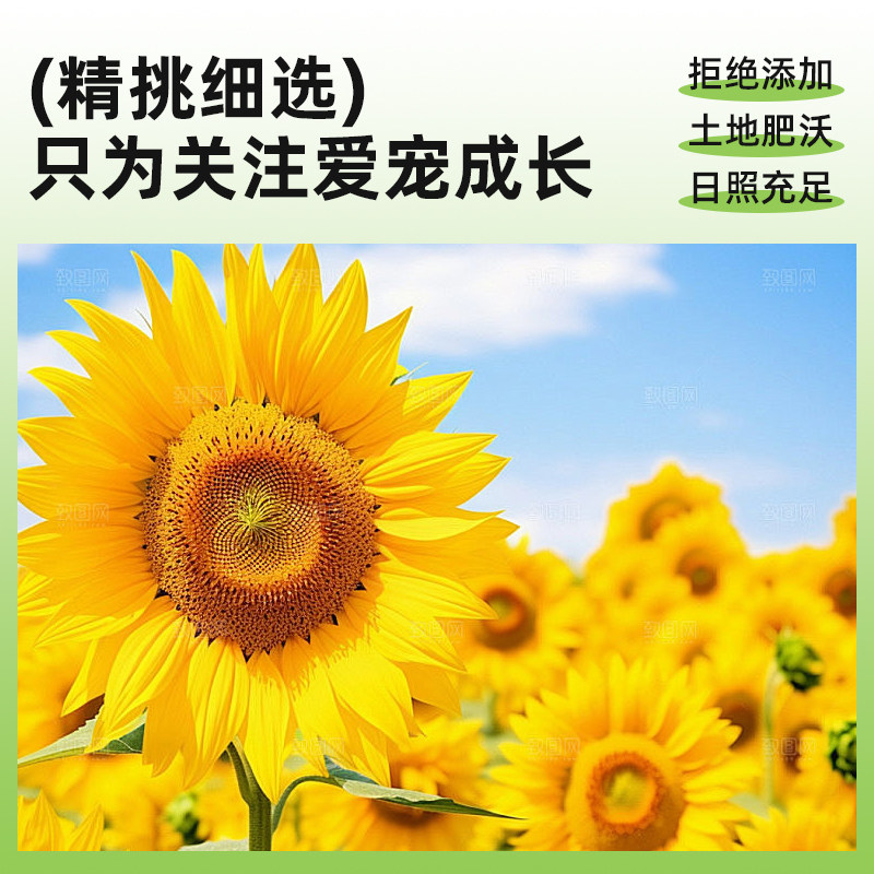 天然油葵瓜子鸟零食精挑细选无添加宠物营养丰富品质颗粒饱满磨嘴,淘宝优惠券,粉丝福利购,淘宝优惠卷