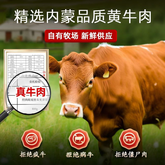 内蒙古风干牛肉干正宗特风味产0低减手撕脂卡肥馋即食休闲零食品