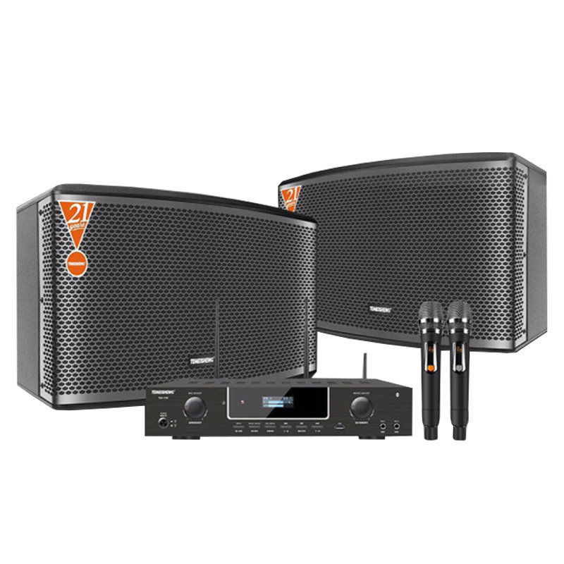 特美声kt-450家庭影院音响套装ktv temeisheng千俊KTV/卡拉OK音箱