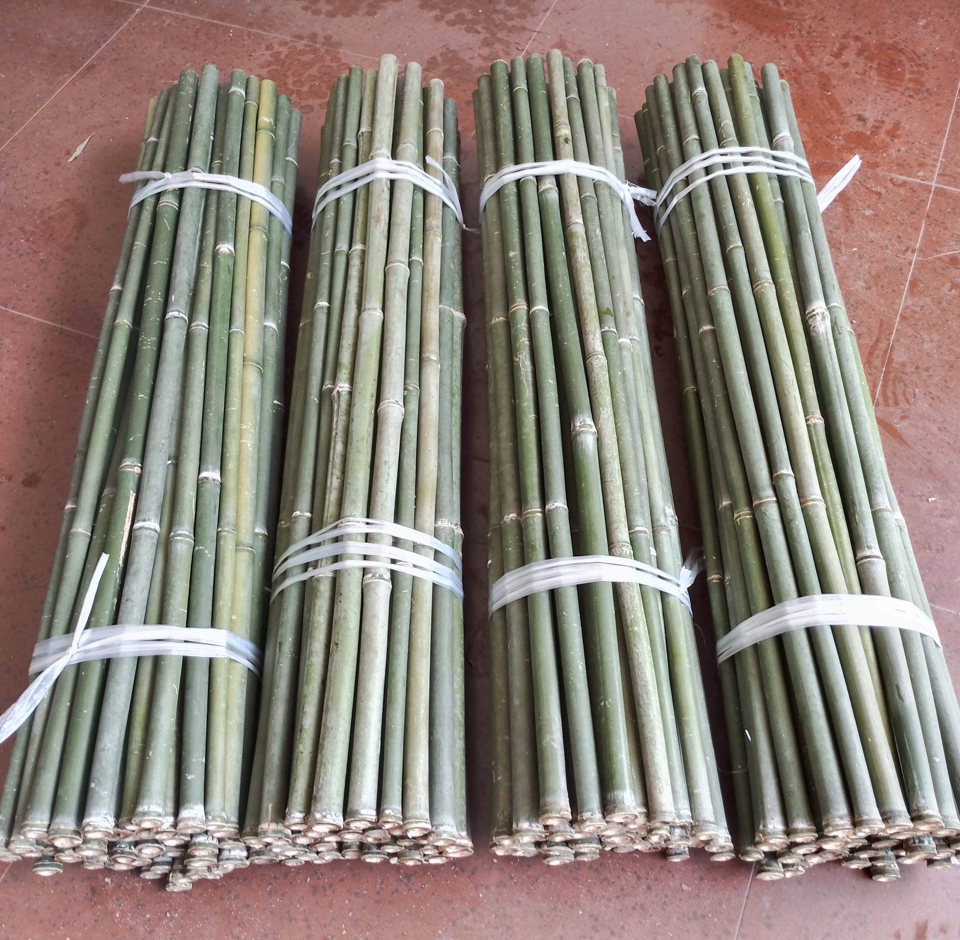 登山杖手杖手工拐杖竹头竹根天然轻便爬山手杖竹拐杖拐棍竹登山棍