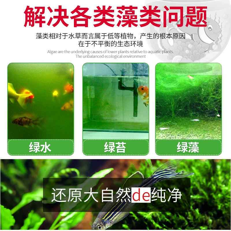 绿藻藻缸 新人首单立减十元 21年9月 淘宝海外 绿藻藻缸 新人首单立减十元 21年9月 淘宝海外