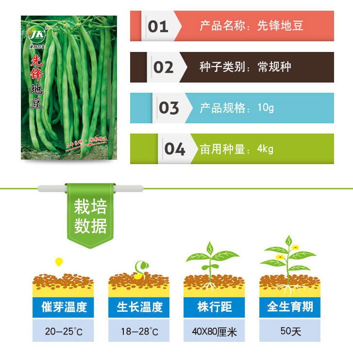 先锋地豆角种子不搭架芸豆籽种籽绿色圆条四季豆盆栽菜园蔬菜种孑-图2