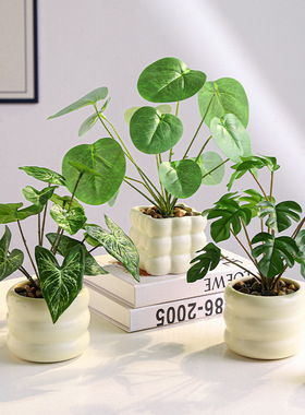 仿真绿植高级感逼真摆件龟背叶小盆栽办公桌面室客厅植物装饰品