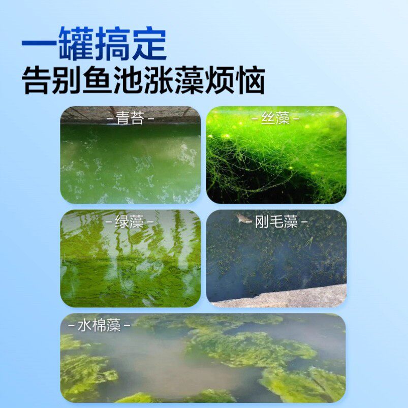 鱼缸除藻剂片剂去苔剂净青苔清除剂褐藻绿水藻去除水草不伤鱼藻剂