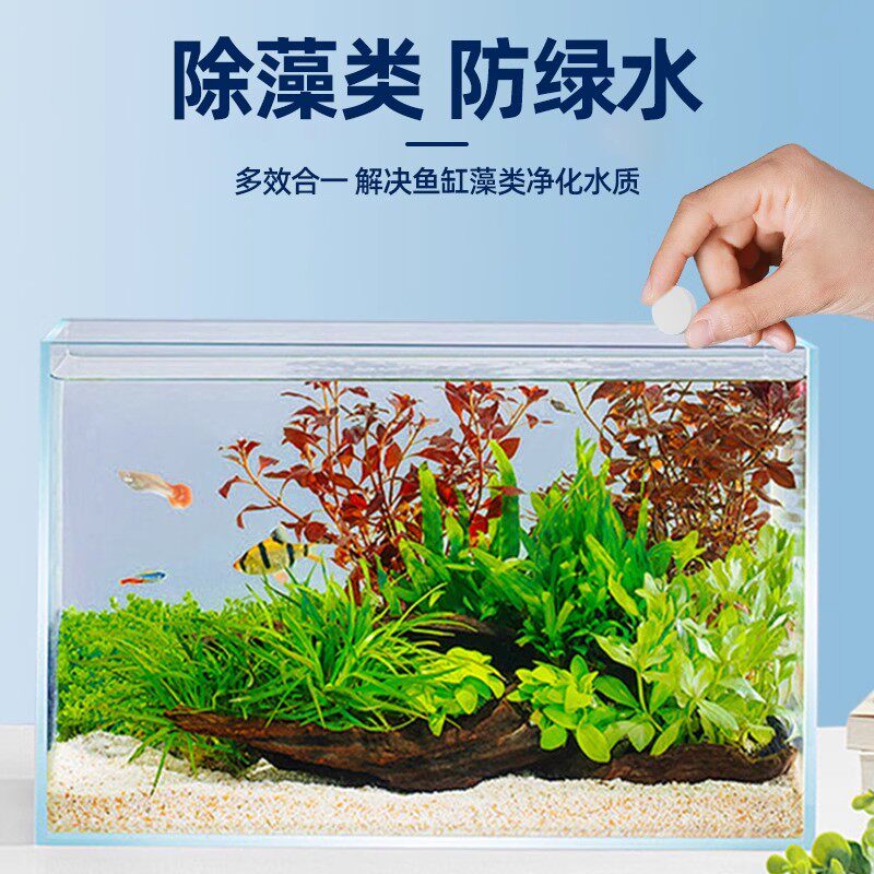 鱼缸除藻剂片剂去苔剂净青苔清除剂褐藻绿水藻去除水草不伤鱼藻剂