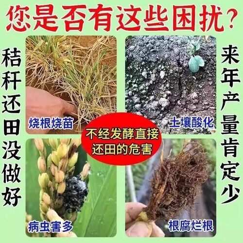 树叶发酵剂快速腐熟落叶烂果堆肥发酵菌秸秆还田有机物沤肥腐化剂 - 图0