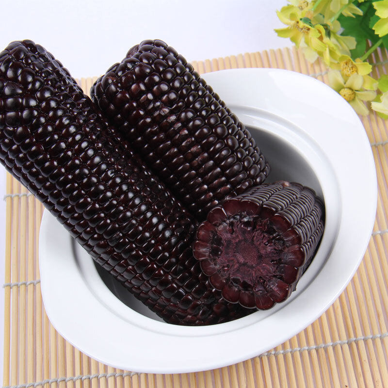 甘肃黄羊河黑色糯玉米新鲜紫玉米棒真空220gx6根装粘黏玉米粗粮