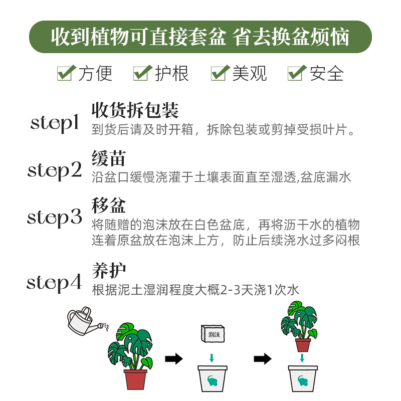 种花的大象琴叶榕盆栽室内ins风居家绿植龟背竹金钻植物四季好养