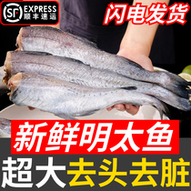 Minta fish fresh frozen without head to head cod fish whole narrow cod baby complementary food Yanbian Korean special produce