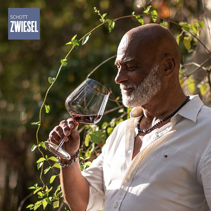 德国进口schott zwiesel肖特水晶红酒杯高脚杯勃艮第杯白葡萄酒杯,淘宝优惠券,粉丝福利购,淘宝优惠卷