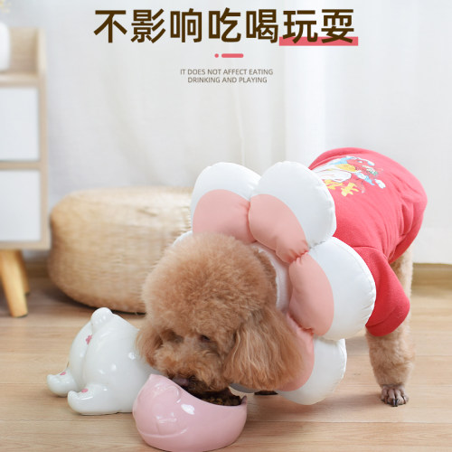 伊丽莎白圈狗伊利沙白中型犬狗狗项圈夏季防咬防舔软脖套头套神器 - 图1