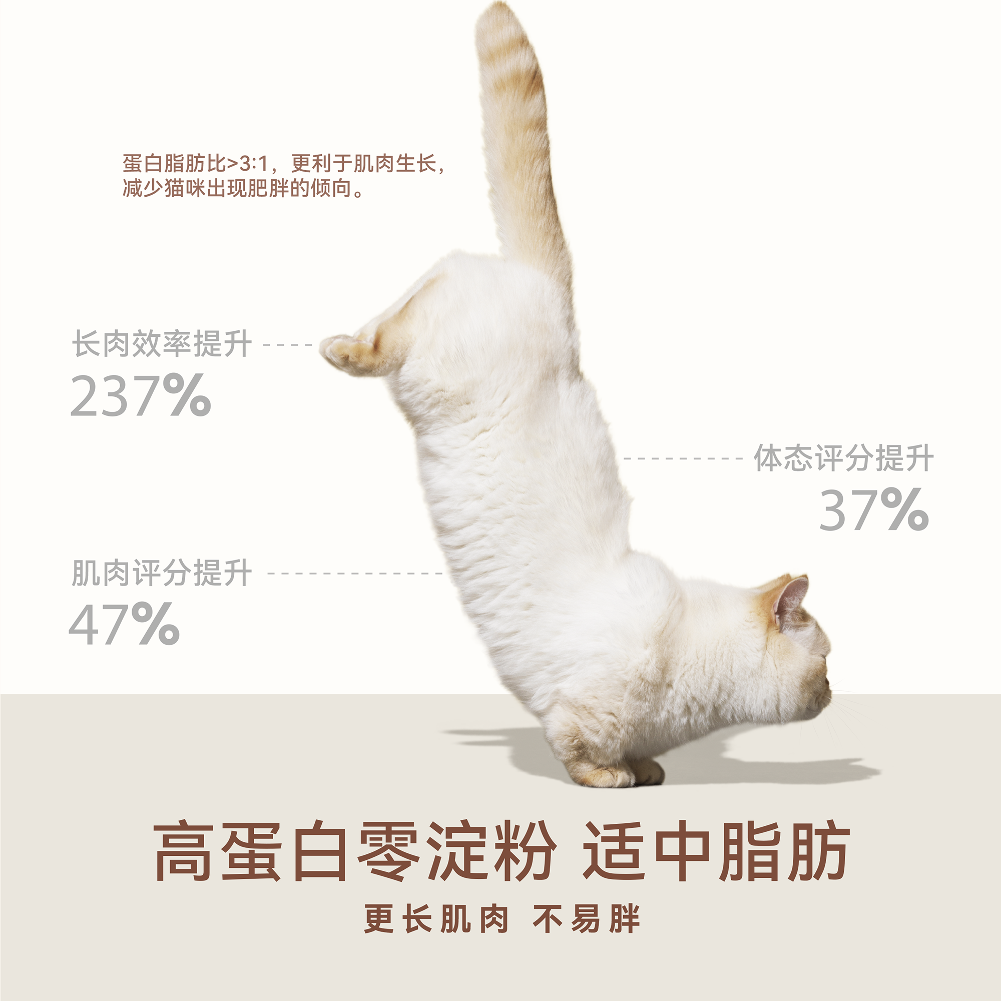 naisi奶思生骨肉风干猫粮2.0版成幼猫营养全价主粮试吃组合特惠装 - 图2