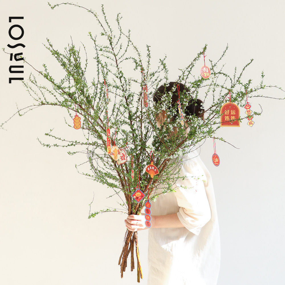 小手球A级雪柳鲜花带花苞鲜枝新年装饰家用插花花期长重瓣单瓣,淘宝优惠券,粉丝福利购,淘宝优惠卷