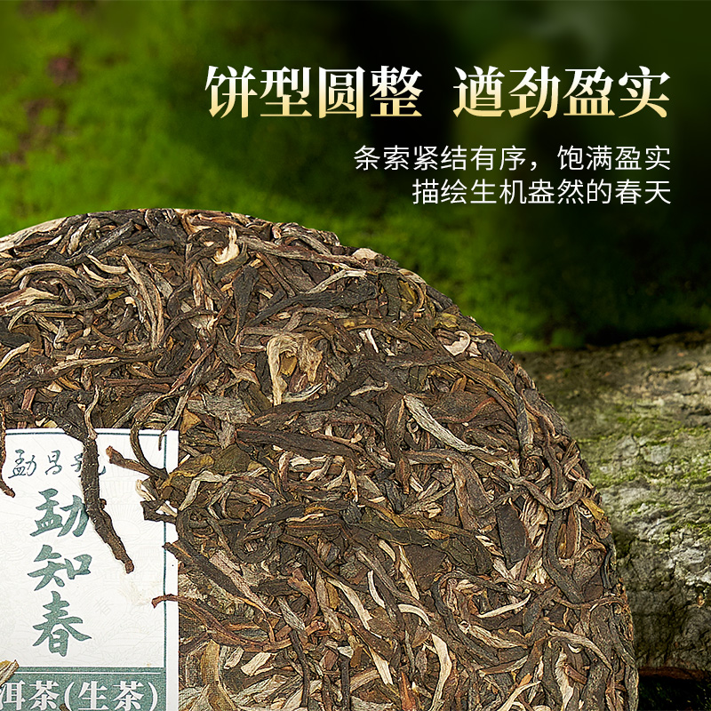 勐昌号自己喝的普洱茶生茶饼勐知春357g*5饼云南勐海生普口粮茶叶