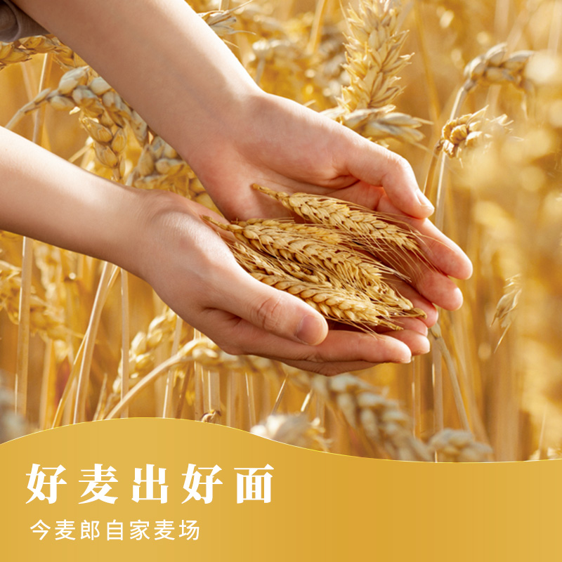 今麦郎方便面弹面泡面整箱批发宿舍速食方便面大份量一袋半大袋 - 图1