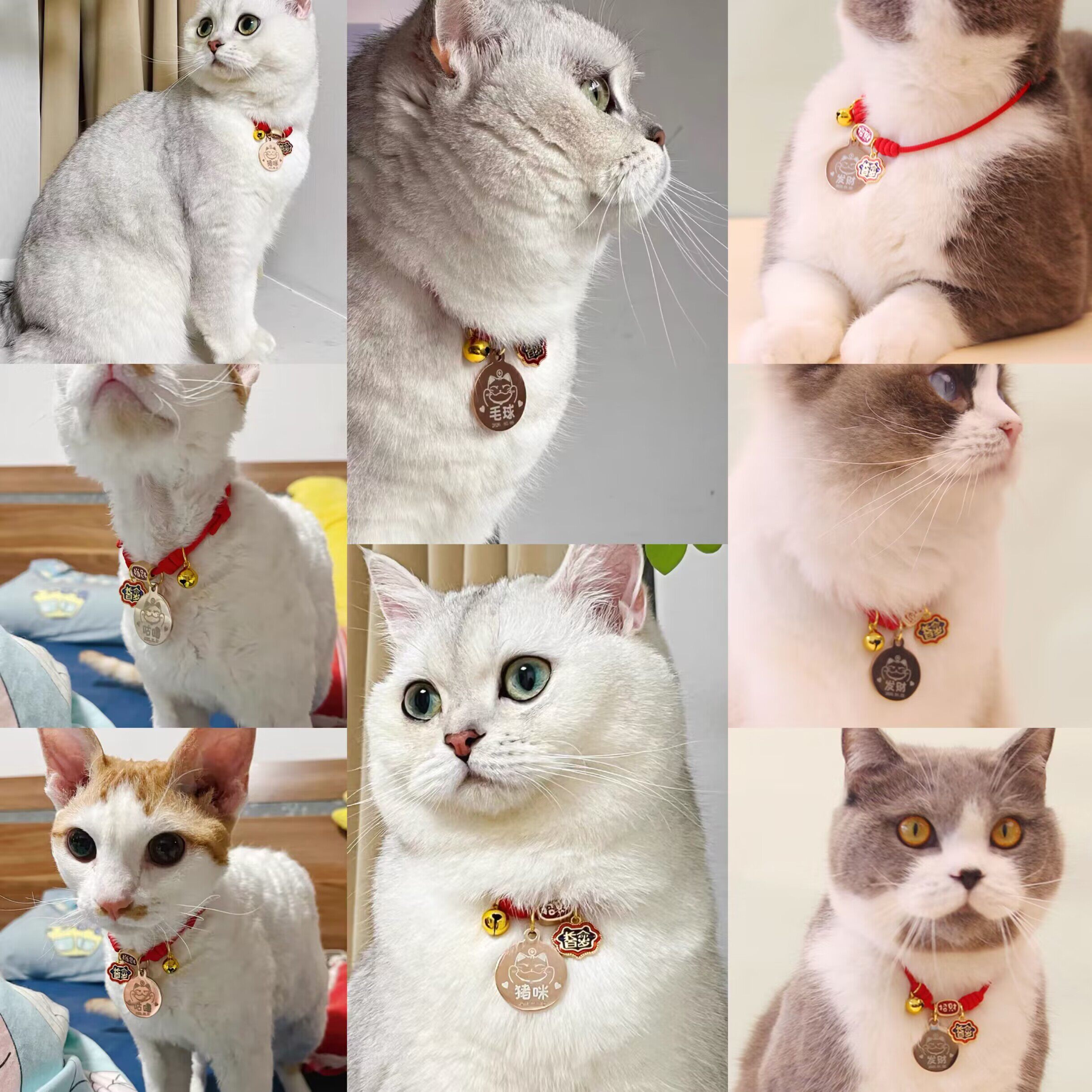猫咪定制项圈刻字铭牌防走丢可调节红绳手工编织狗小型犬挂牌铃铛
