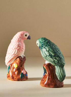 FQR LIVING英国设计师Loro Bird手工制作绘画陶器盐和胡椒搅拌器