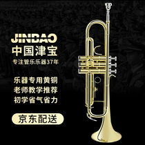 Zingbao JBTR-300 Small number instrument lowering B-tone for childrens beginner students to play the Appraisal Exam Lacquer Golden Western Blow Pipe Music
