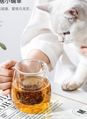 保真速发玻璃杯茶杯茶水分离w带把手过滤泡茶杯个人办公室家用水