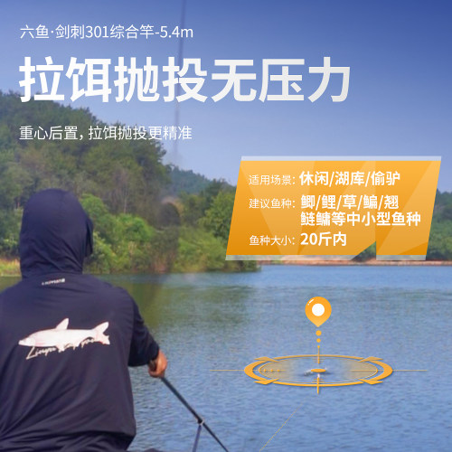 六鱼剑刺301鱼竿手竿超轻超硬竿碳素鱼杆台钓小综合钓鱼竿鲫鱼竿 - 图2