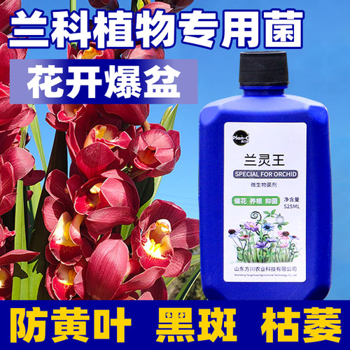 普兰西 兰灵王 正品植物通用微生物菌液抑病菌活化土壤微生物菌剂 - 图0
