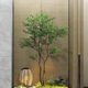 Simulated hanging bell tree landscape dry scene horse drunken wood