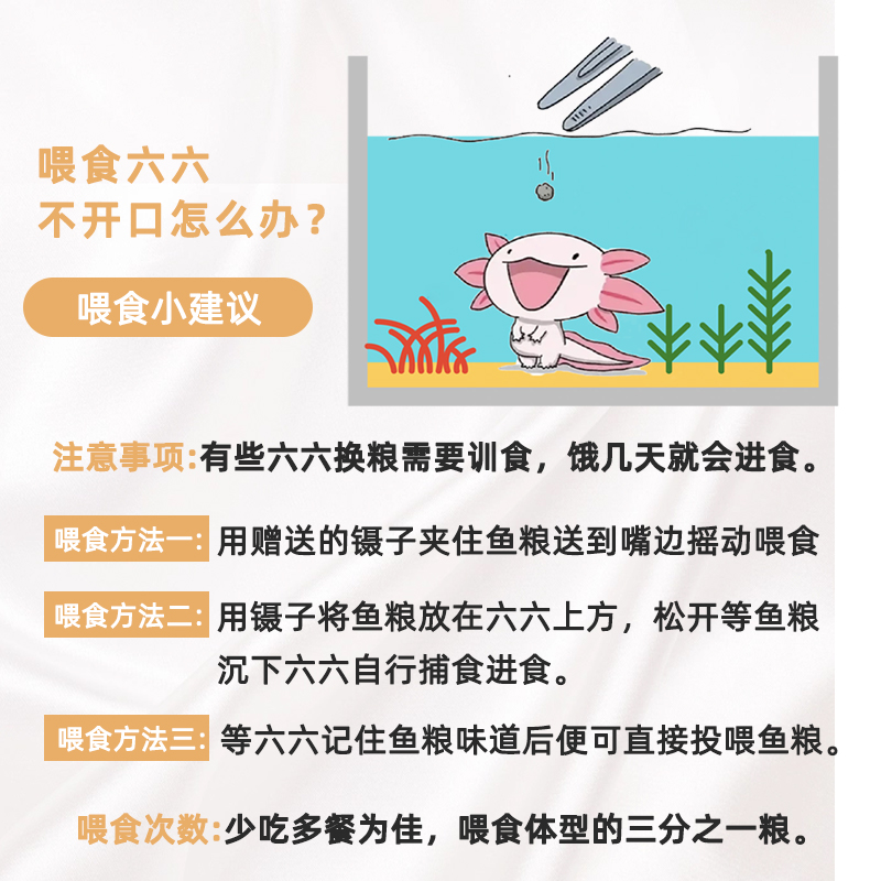 鱼食六角恐龙饲料蝾螈娃娃鱼清道夫六六底栖观赏鱼专用下沉型鱼粮 - 图3