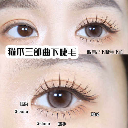 猫爪下睫毛假睫毛单簇女自然仿真分段透明梗三部曲雪里奈假睫毛书 - 图1