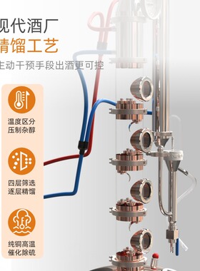 葫陆蒸馏紫铜度数可控精馏酿酒机