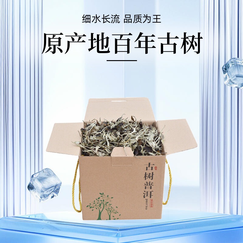 云南白茶百年古树白茶老树月光白大树月光美人蜜香花果香原产地真