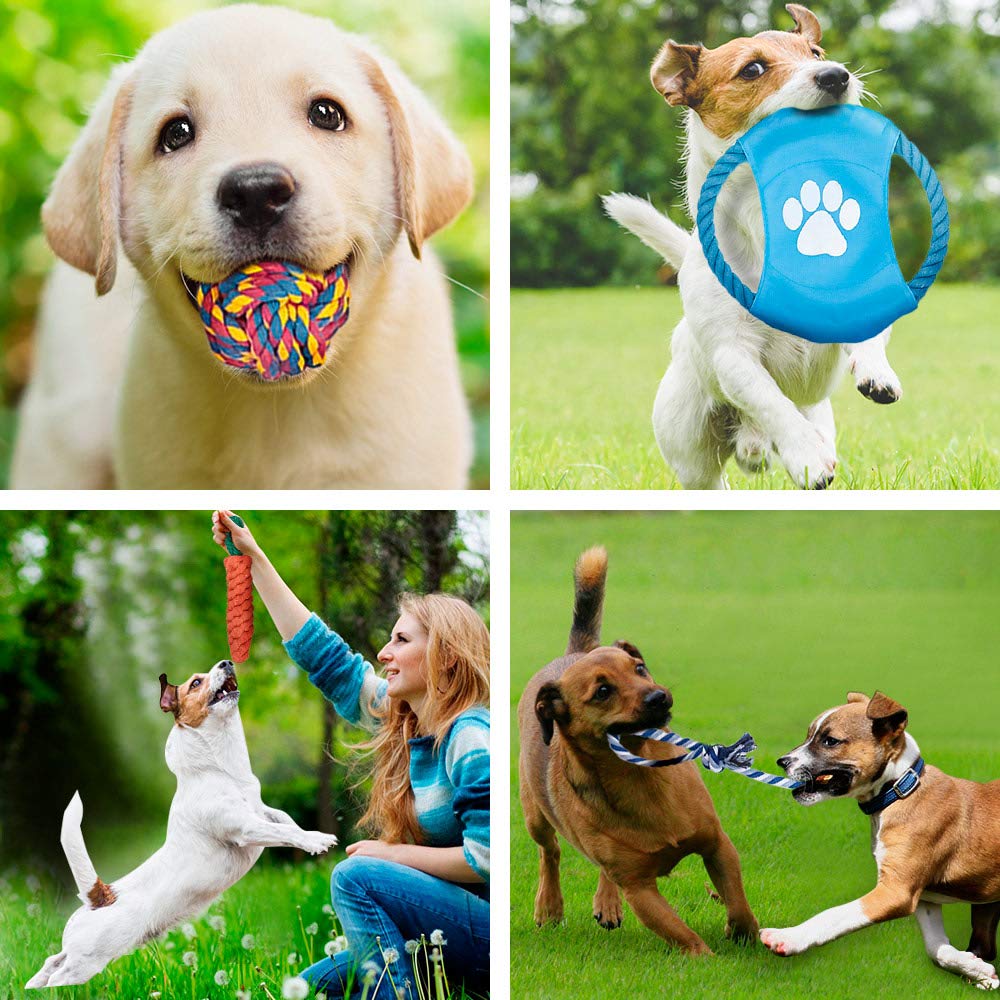 12Pcs Large Dog Toy Sets Chew Rope Toys for Dog Chewing Toys - 图2