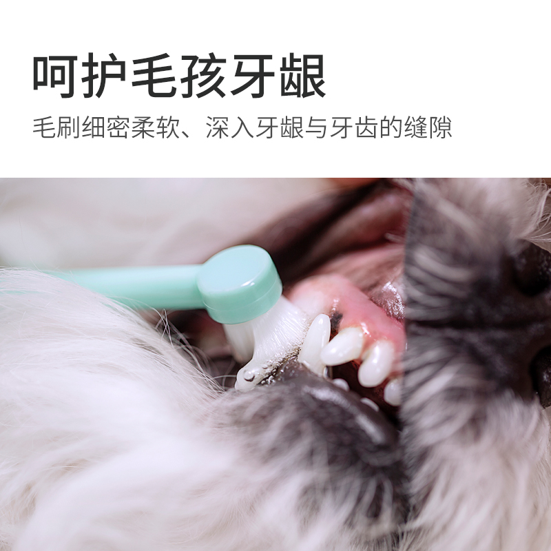 pononon宠物专用小牙刷狗狗猫咪牙齿清洁小狗牙膏套装除口臭可食 - 图1