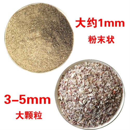 Птица раковина порошок порошок курицы корм для курицы курица едят яйца, кальций и кальциево -раковина раковина раковина раковина голубь