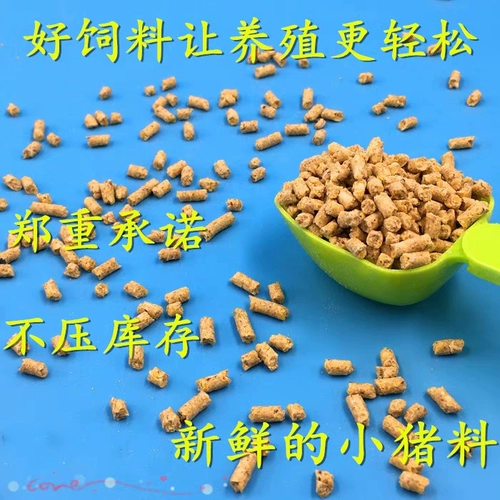 Материал свиньи 552 Свиньи открывают ингредиенты, сосающие свиньи, раздавливающие частицы, ингредиенты с полной ценой, оплодотворение рыбалки и гнездование