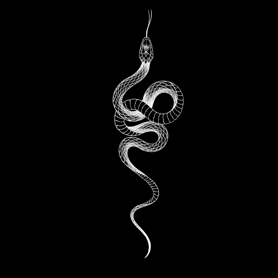 纹身贴鹤推荐品牌 新人首单立减十元 21年6月 淘宝海外