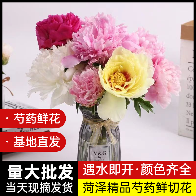 山东芍药鲜花牡丹重瓣花束云南鲜切花玫瑰百合花卉基地直发母亲节-图1