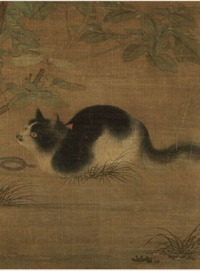 南宋名家国画富贵花狸图复古书画