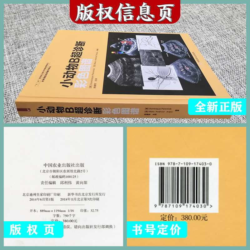 小动物B超诊断彩色图谱 熊慧军主译 犬猫B超 犬猫超声 小动物超声诊断 - 图1