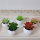 Home decoration potted anti-green plant simulated flower
