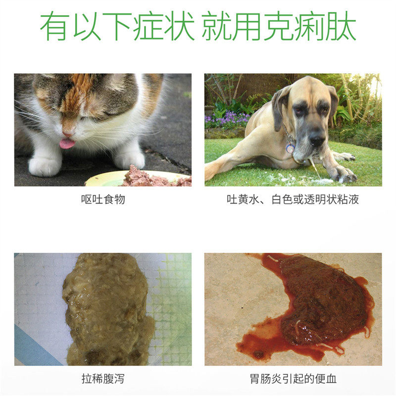 克痢肽狗 新人首单立减十元 21年7月 淘宝海外